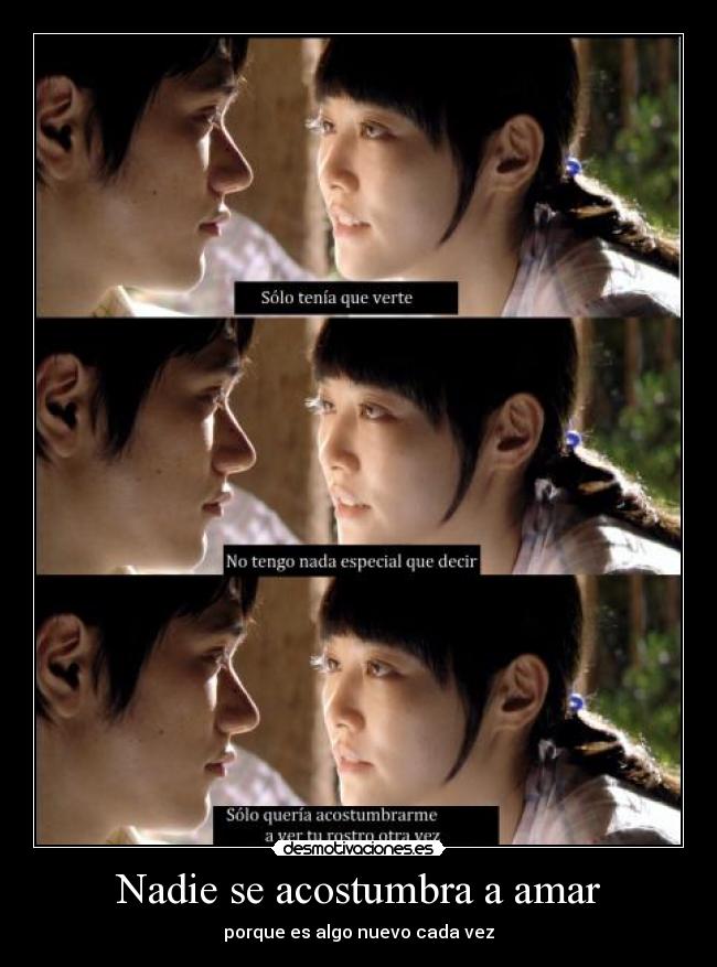 Nadie se acostumbra a amar - 