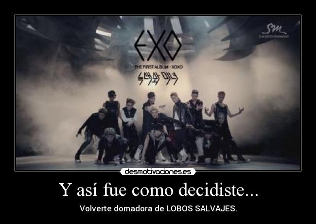 Y así fue como decidiste... - Volverte domadora de LOBOS SALVAJES.