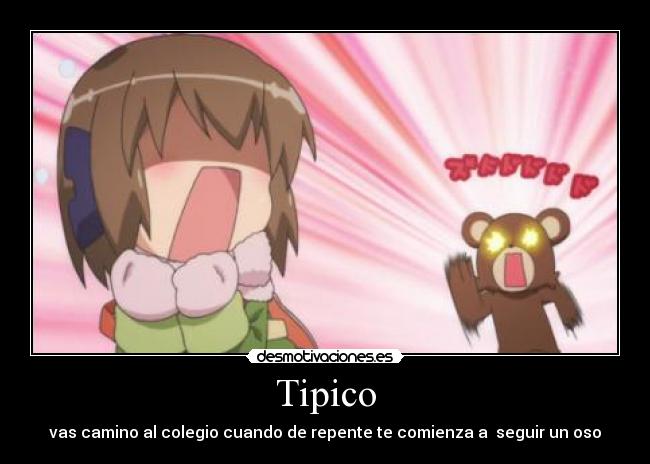 Tipico - vas camino al colegio cuando de repente te comienza a  seguir un oso