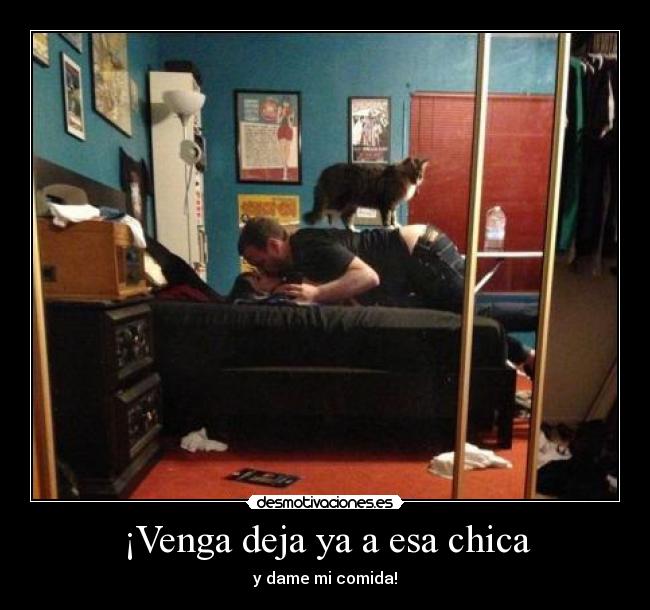 carteles venga desmotivaciones