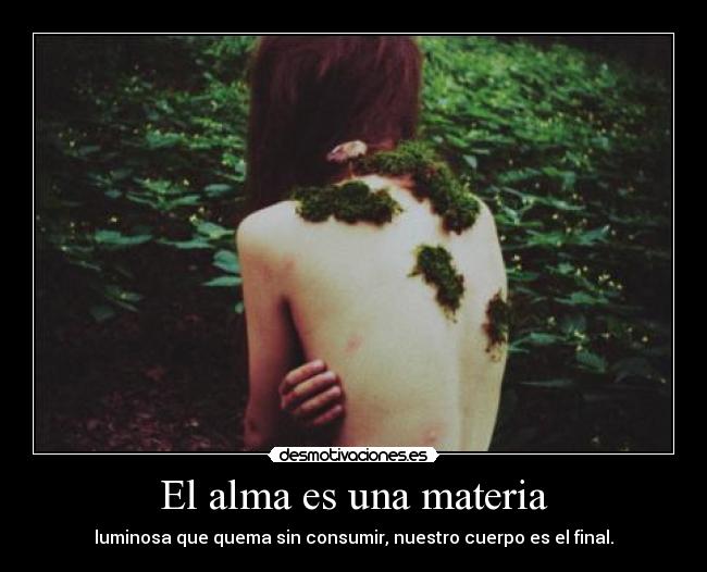 carteles alma amm joseph joubert mala lesbia desmotivaciones