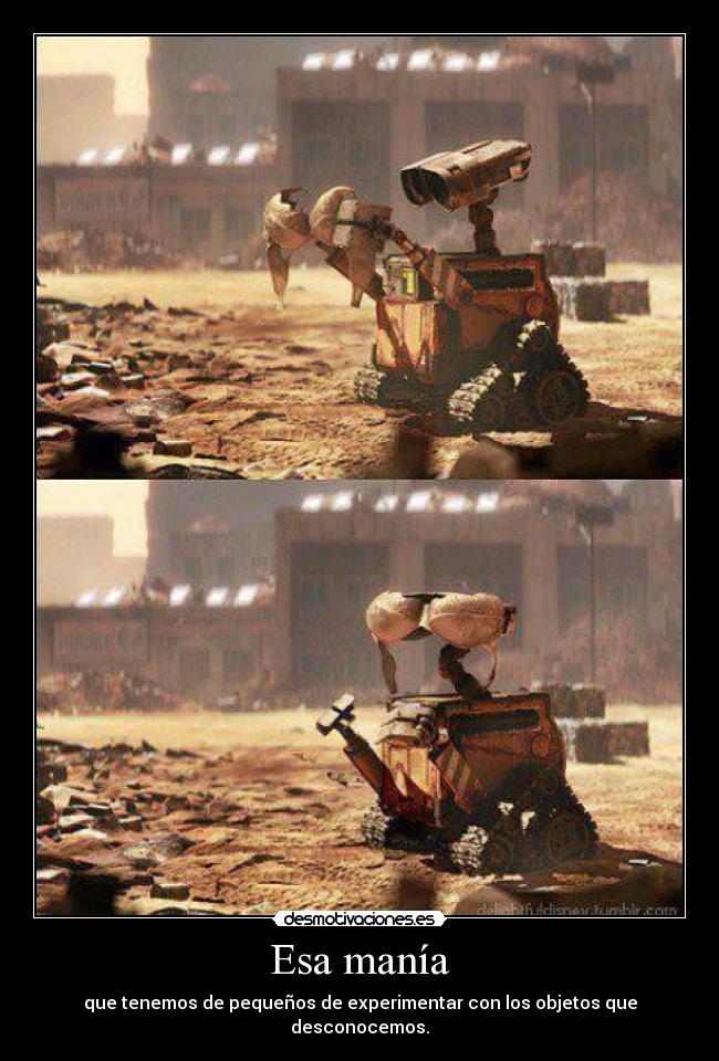 carteles wall experimentando con brasier tan tierno desmotivaciones