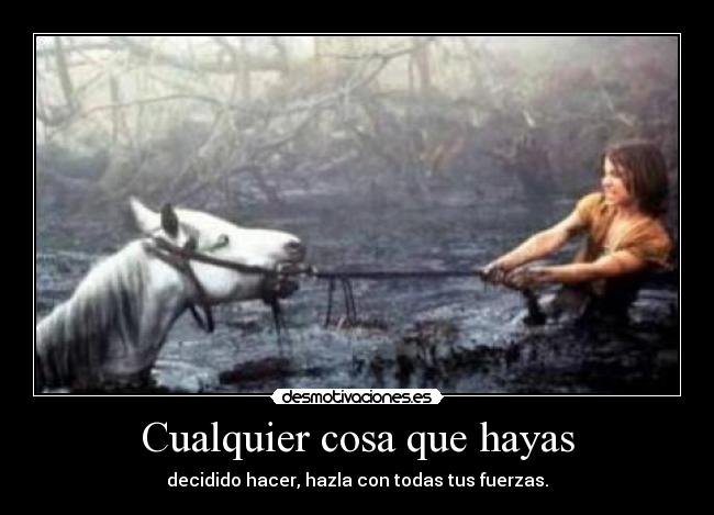 Cualquier cosa que hayas - decidido hacer, hazla con todas tus fuerzas.