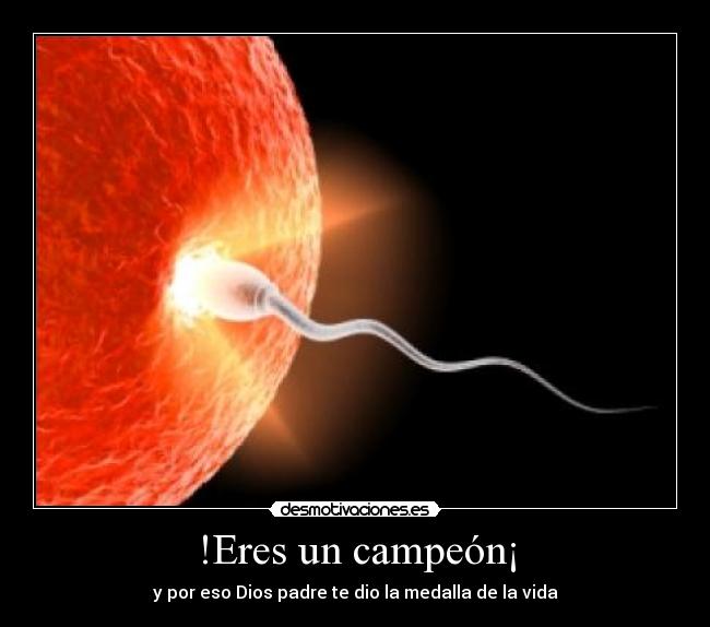 carteles vida amor esperanza salvacion confianza dios jesus familia madre padre desmotivaciones