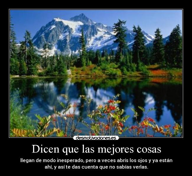 Dicen que las mejores cosas - llegan de modo inesperado, pero a veces abrís los ojos y ya están
ahí, y así te das cuenta que no sabías verlas.