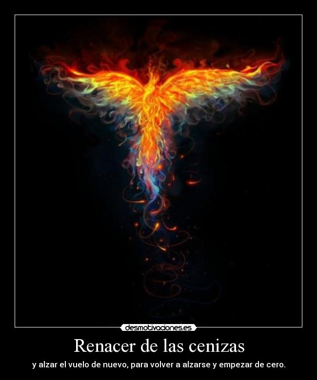 Renacer de las cenizas - y alzar el vuelo de nuevo, para volver a alzarse y empezar de cero.