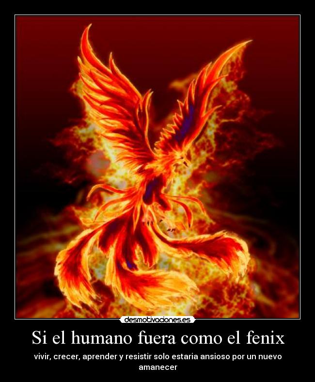 carteles fenix inmortalidad sabiduria existe lxii desmotivaciones