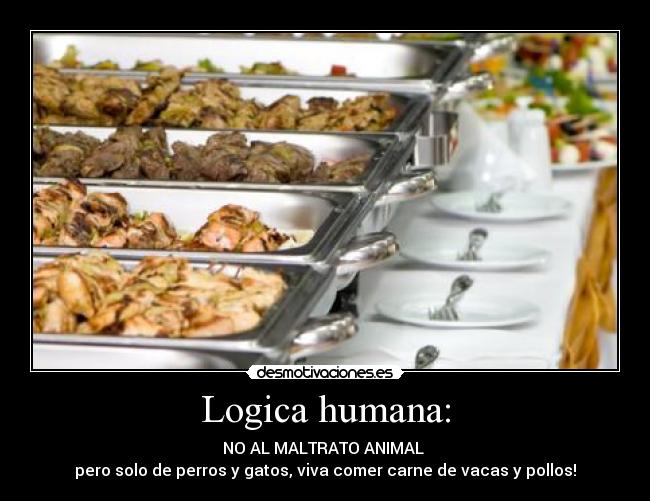 Logica humana: - NO AL MALTRATO ANIMAL 
pero solo de perros y gatos, viva comer carne de vacas y pollos!