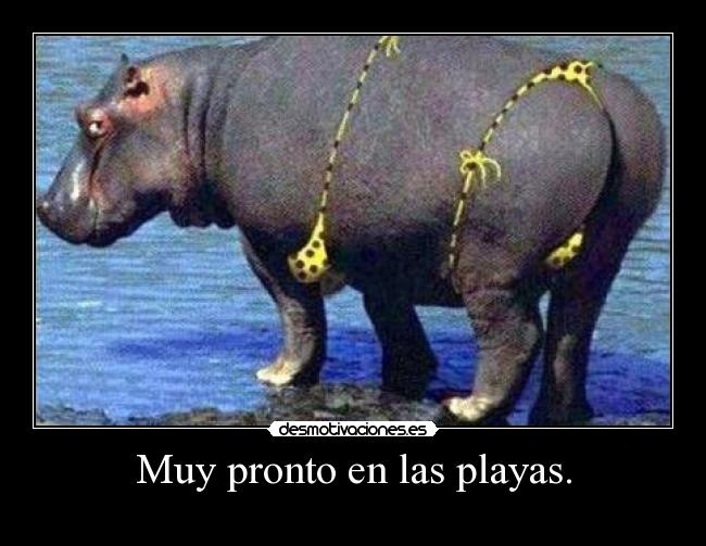 Muy pronto en las playas. - 