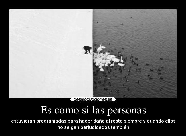 Es como si las personas -