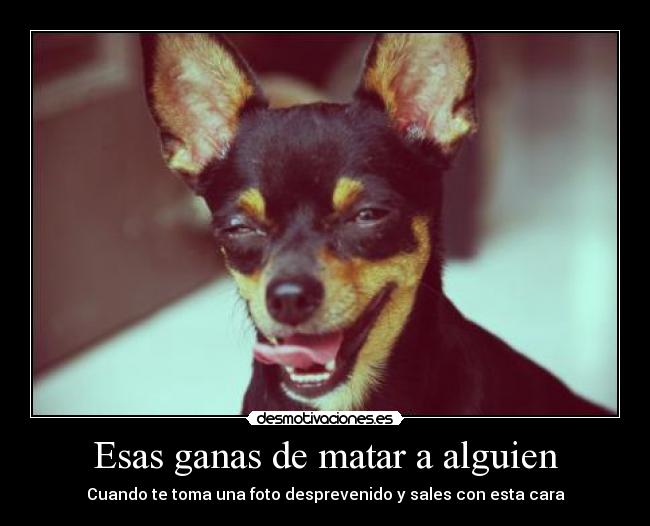 Esas ganas de matar a alguien - Cuando te toma una foto desprevenido y sales con esta cara