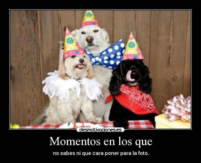 Momentos en los que - 