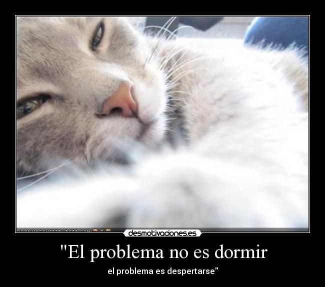El problema no es dormir -