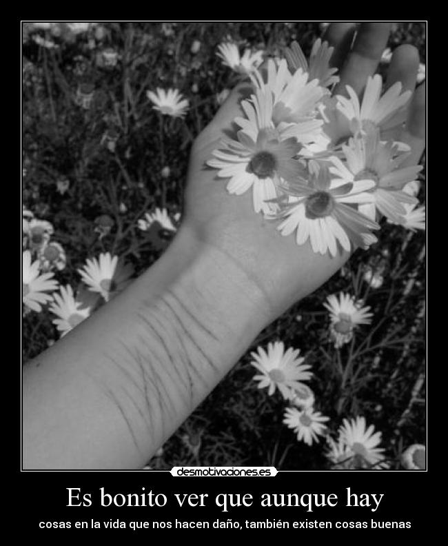 Es bonito ver que aunque hay -