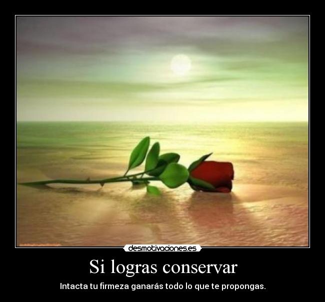Si logras conservar -