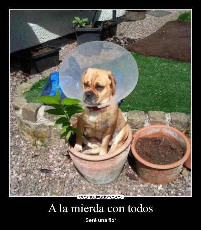 A la mierda con todos - 