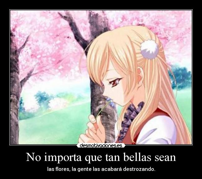 No importa que tan bellas sean - las flores, la gente las acabará destrozando.