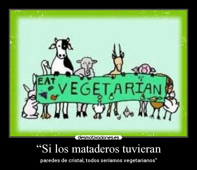 “Si los mataderos tuvieran - paredes de cristal, todos seríamos vegetarianos”