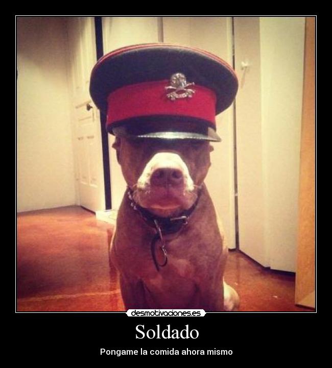 Soldado - 