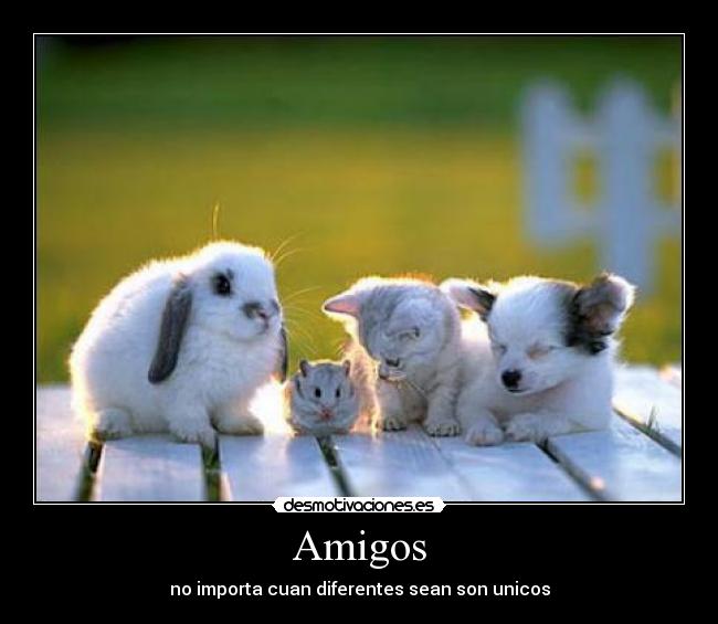 Amigos - no importa cuan diferentes sean son unicos
