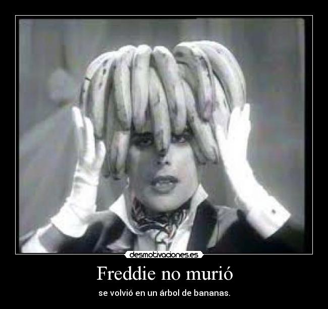 carteles bromas del rock desmotivaciones