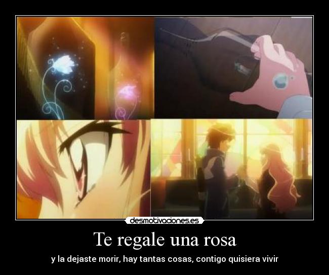 Te regale una rosa -