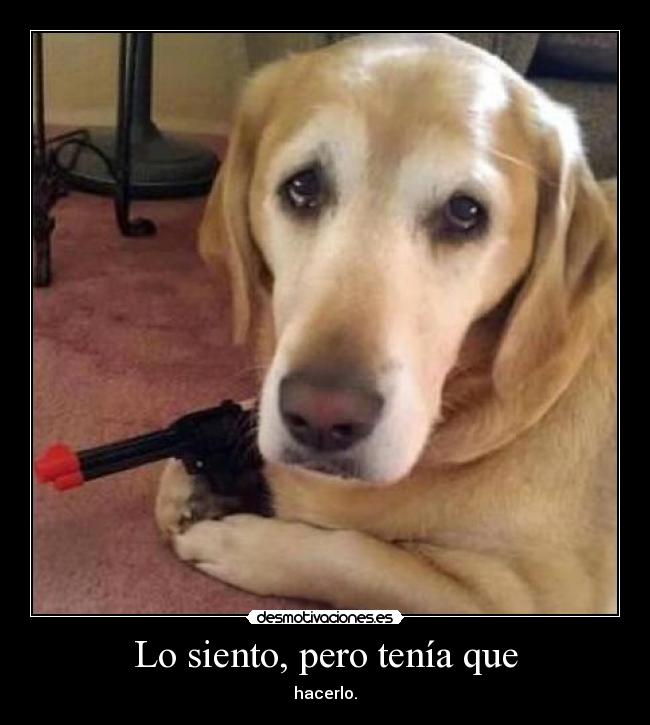 Lo siento, pero tenía que -