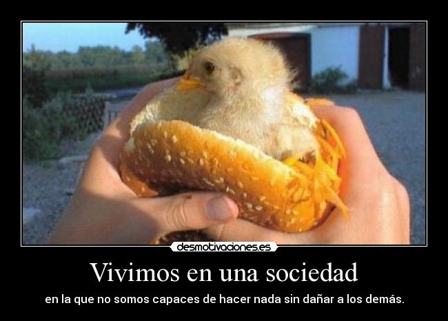 carteles sociedad retiro carne desmotivaciones