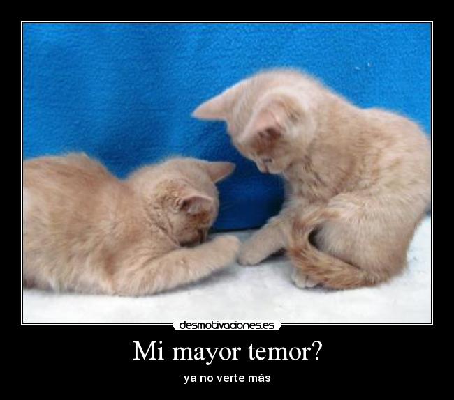 Mi mayor temor? -