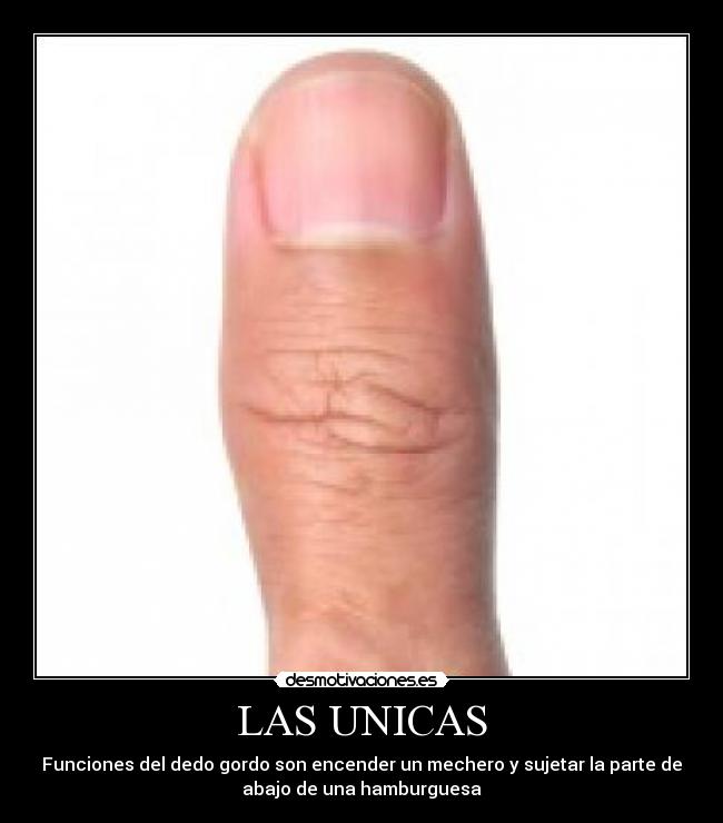 LAS UNICAS - Funciones del dedo gordo son encender un mechero y sujetar la parte de
abajo de una hamburguesa