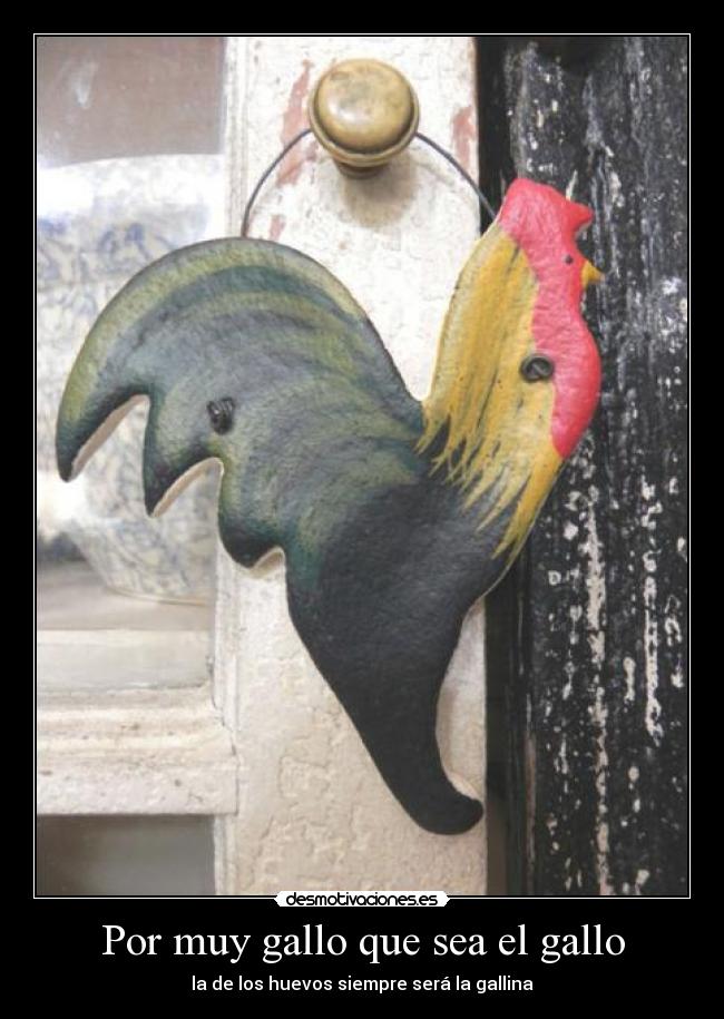 Por muy gallo que sea el gallo - la de los huevos siempre será la gallina