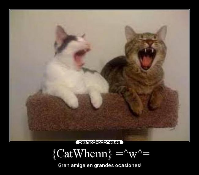 {CatWhenn} =^w^= - Gran amiga en grandes ocasiones!