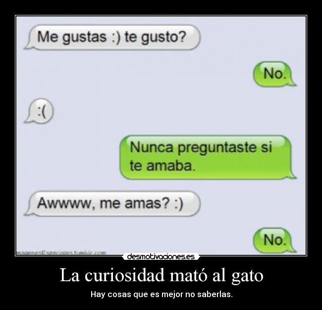 La curiosidad mató al gato -