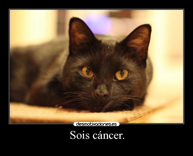 Sois cáncer. -
