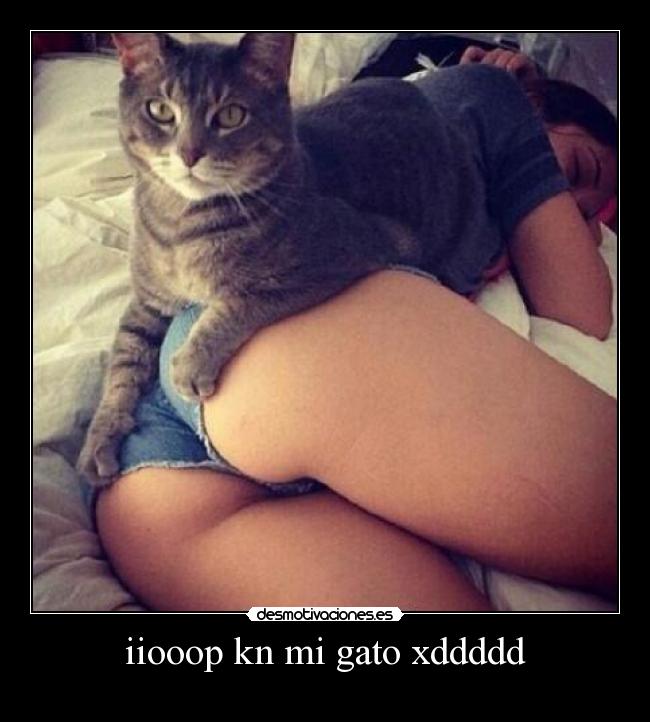 iiooop kn mi gato xddddd -