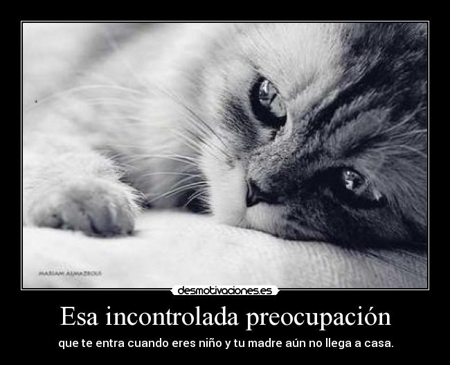 carteles ryuk sung esa incontrolada desmotivaciones