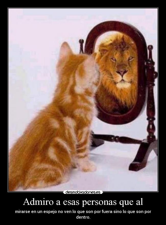 carteles todo seria mejor con esta forma mirarse espejo sobretodo autoestima desmotivaciones