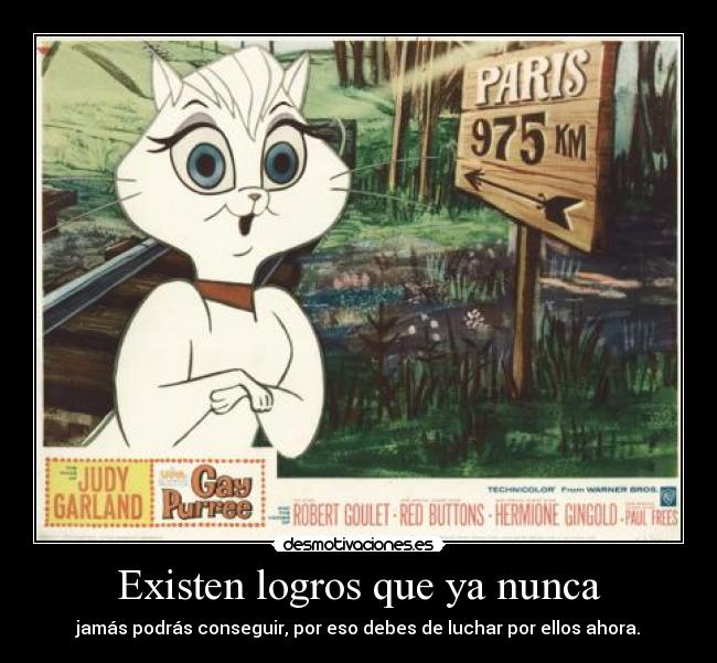 Existen logros que ya nunca - jamás podrás conseguir, por eso debes de luchar por ellos ahora.