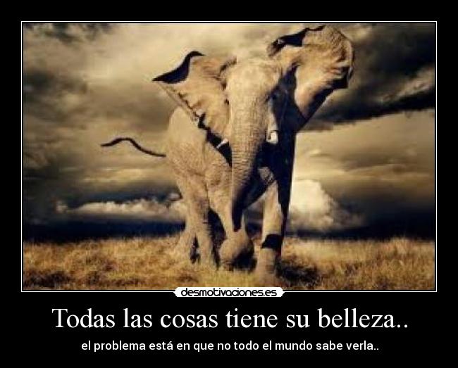 Todas las cosas tiene su belleza.. - 