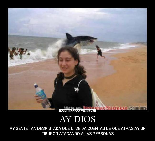 AY DIOS - AY GENTE TAN DESPISTADA QUE NI SE DA CUENTAS DE QUE ATRAS AY UN
TIBURON ATACANDO A LAS PERSONAS