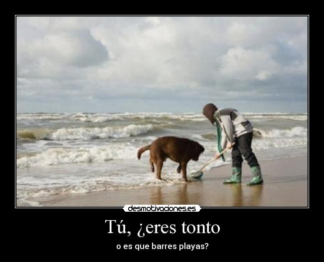 Tú, ¿eres tonto - o es que barres playas?