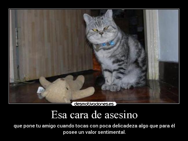 Esa cara de asesino - que pone tu amigo cuando tocas con poca delicadeza algo que para él
posee un valor sentimental.