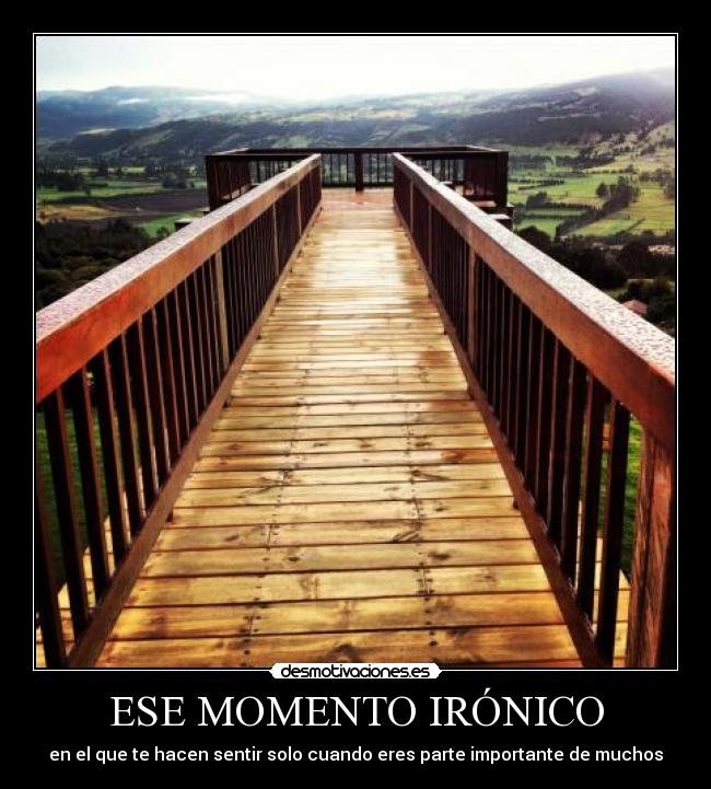 ESE MOMENTO IRÓNICO - en el que te hacen sentir solo cuando eres parte importante de muchos