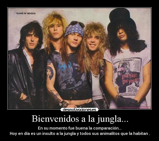 Bienvenidos a la jungla... -