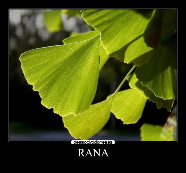 RANA -
