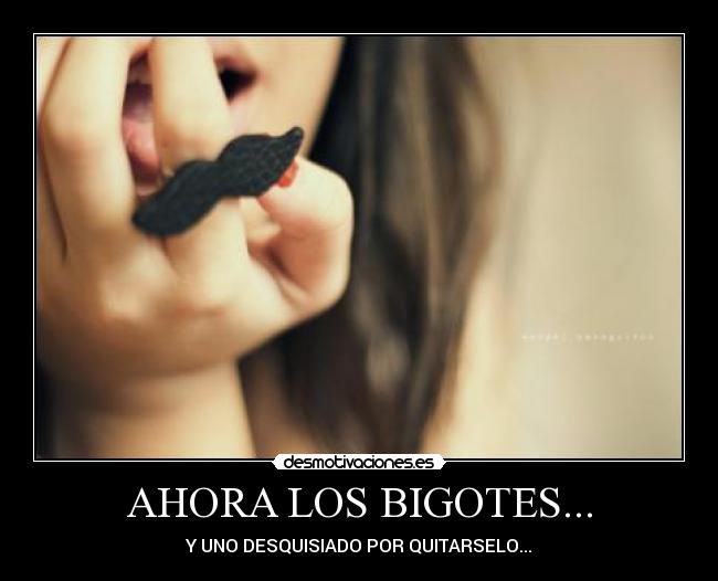 carteles grasiosos desmotivaciones