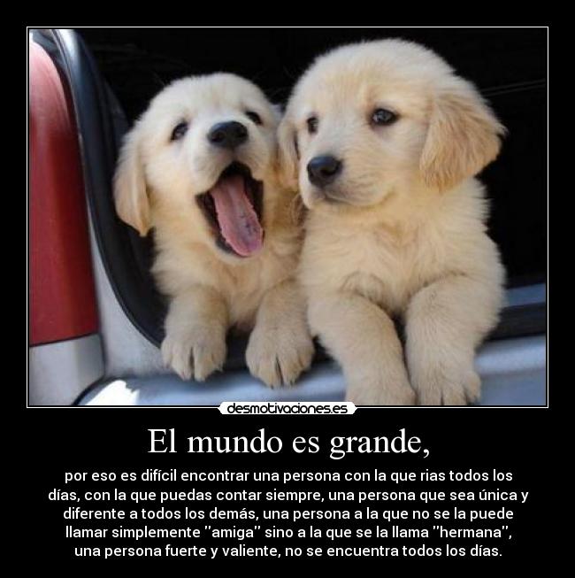 carteles mundo con carino para kirtashfowl desmotivaciones