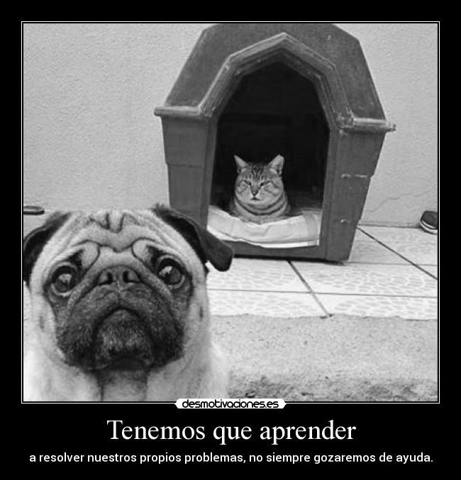 Tenemos que aprender - 