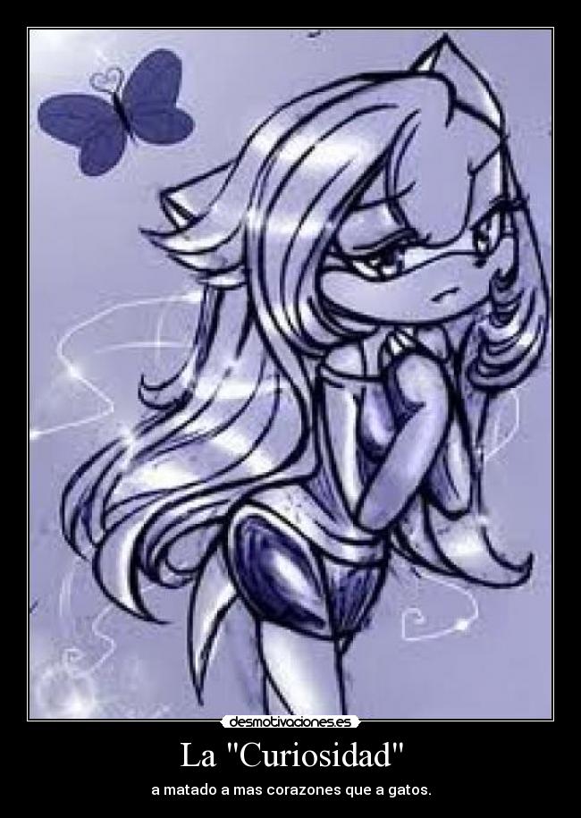 La Curiosidad - a matado a mas corazones que a gatos.