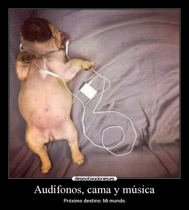carteles musica audifonos desmotivaciones